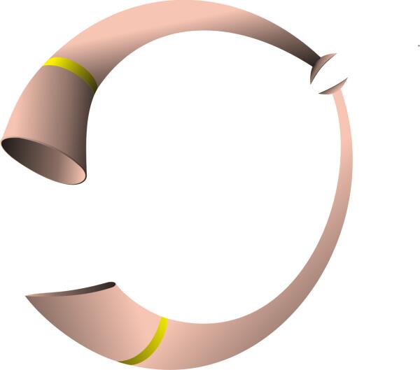 logo horn by Frankton